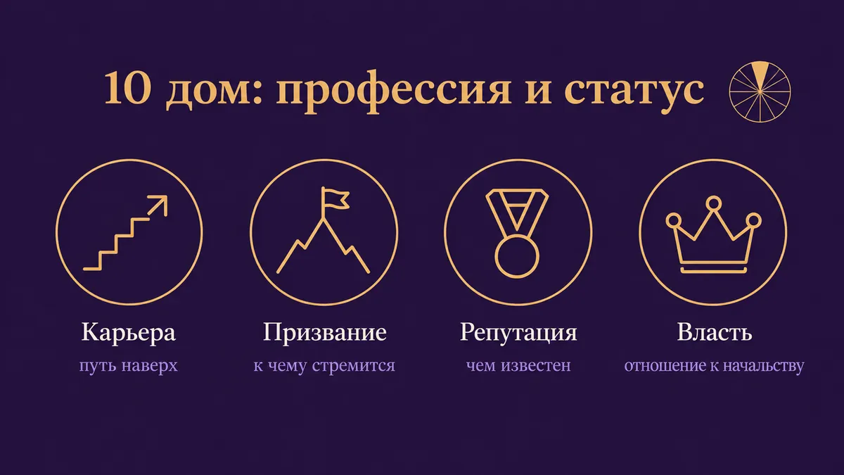 Инфографика о том, за что отвечает 10 дом: карьера, призвание, репутация и власть