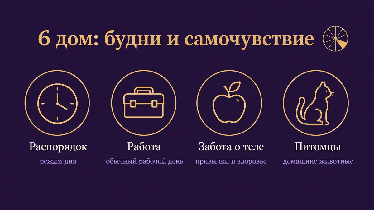 Инфографика о том, за что отвечает 6 дом: распорядок, работа, забота о теле и питомцы
