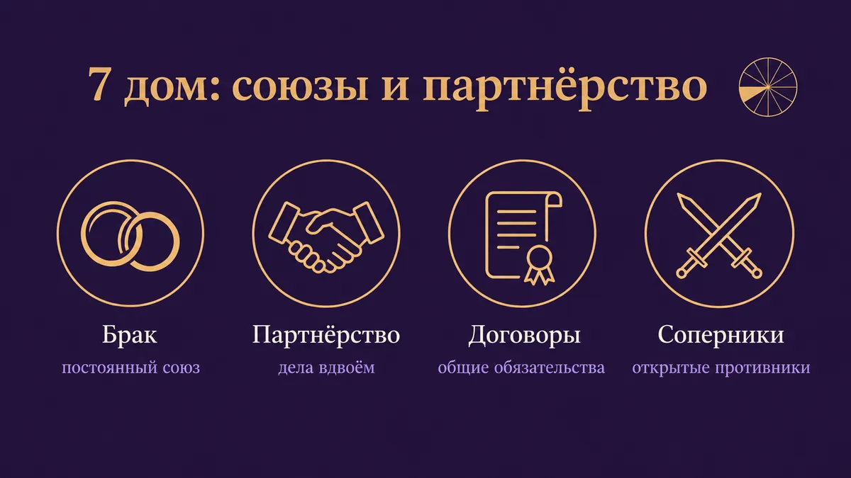 Инфографика о том, за что отвечает 7 дом: брак, партнёрство, договоры и соперники