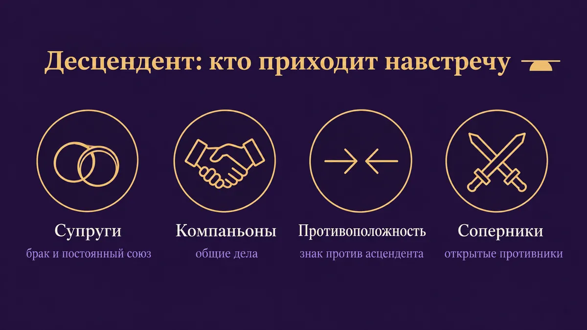 Инфографика о том, кого зовёт навстречу десцендент: супруги, компаньоны, противоположность и соперники